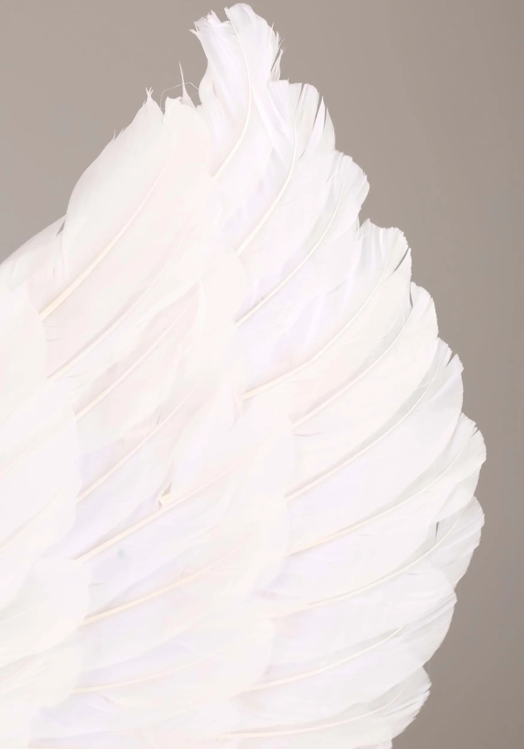 Armada White Divine Angel Wings 3 Armada White Divine Angel Wings - Image 3