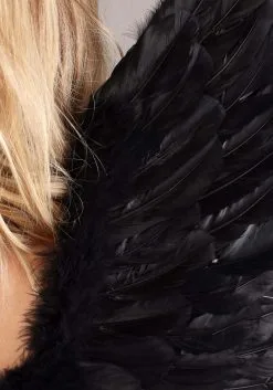 Armada Fallen Black Angel Costume Wings 7 Armada Fallen Black Angel Costume Wings -Fun Costumes Store fallen black angel wings alt 3