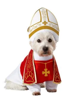 California Costume Collection Holy Hound Pet Costume