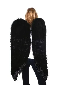 Zucker Feather Large Black Feather Angel Wings