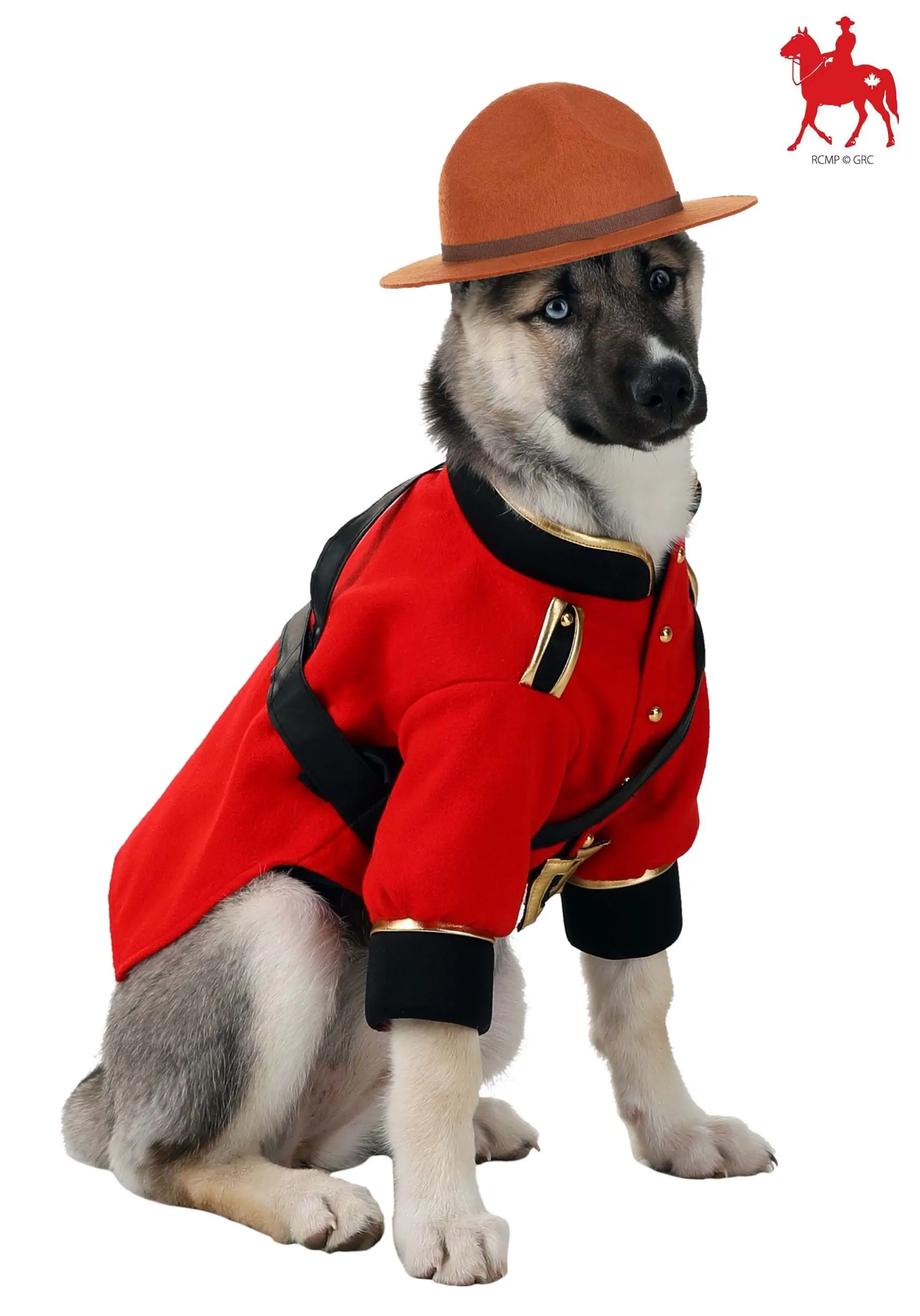 Suzhou Zhongsheng Imp & Exp Co., Ltd Mountie Costume For Dogs 1 Suzhou Zhongsheng Imp & Exp Co., Ltd Mountie Costume For Dogs