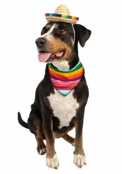 Pet Krewe Bandana And Sombrero Pet Costume Set -Fun Costumes Store sombrero bandana pet costume set alt 2