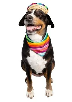 Pet Krewe Bandana And Sombrero Pet Costume Set -Fun Costumes Store sombrero bandana pet costume set alt 3
