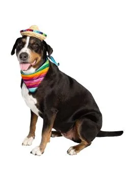Pet Krewe Bandana And Sombrero Pet Costume Set -Fun Costumes Store sombrero bandana pet costume set alt 5